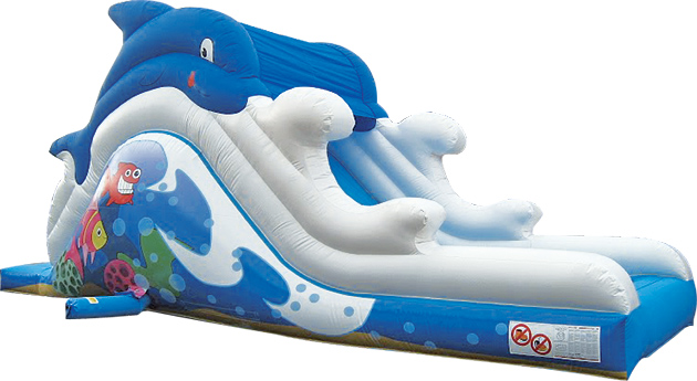 Dolphine Slide with Pool